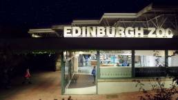 freelance colourist edinburgh zoo tv commercial